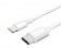 USB-C to Lightning 原廠iPhone type 充電線